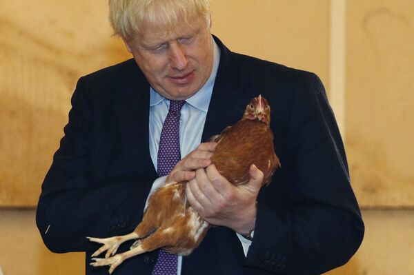 'Boris Johnson Won't Extend Brexit Transition Period' – Political Commentator 'Boris Johnson Won't Extend Brexit Transition Period' – Political Commentator - Sputnik International