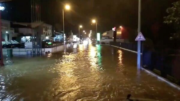 A flooded street is pictured as Storm Elsa sweeps through Trofa, in Porto, Portugal, December 20, 2019 - Sputnik International