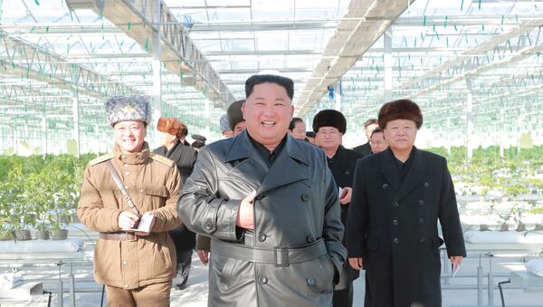 North Korean leader Kim Jong Un visits a vegetable greenhouse farm and tree nursery in Jungphyong area in Kyongsong County, North Hamgyong Province, North Korea, in this undated picture released by North Korea's Central News Agency (KCNA) on December 4, 2019.  - Sputnik International