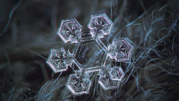 Macro photography of natural snowflake. Medium size crystal, around 4 mm in diameter. 8 serial shots averaged to boost signal-to-noise ratio. Background: dark woolen fabric, natural light (cloudy sky), external optics Helios 44M-5, december 2014, Moscow. - Sputnik International