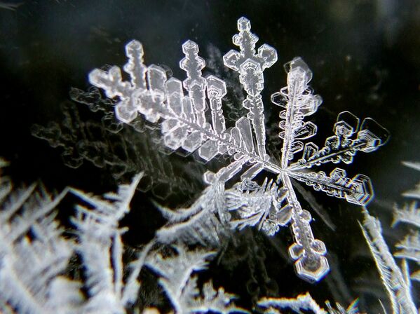 Astonishing Ice: Close-Up Photos Show the Amazing Beauty of Snowflakes - Sputnik International