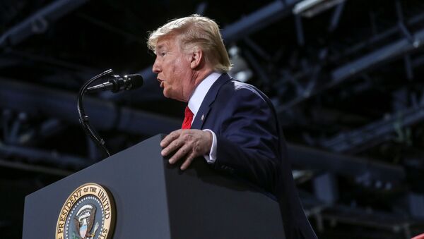 U.S. President Donald Trump speaks during a campaign rally in Battle Creek, Michigan, U.S., December 18, 2019 - Sputnik International