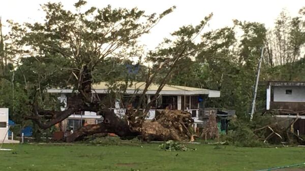 Fallen trees  in Tanauan, Leyte, in the Philippines - Sputnik International