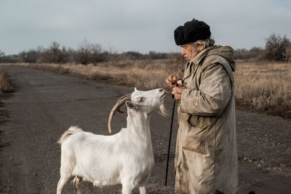 A man feeds a goat in Donetsky village in the self-proclaimed Lugansk People's Republic, Ukraine - Sputnik International