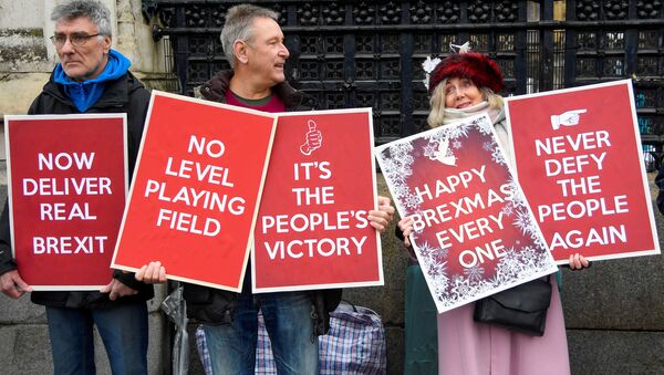 Pro-Brexit demonstrators hold signs outside the Houses of Parliament in London, Britain, December 17, 2019 - Sputnik International