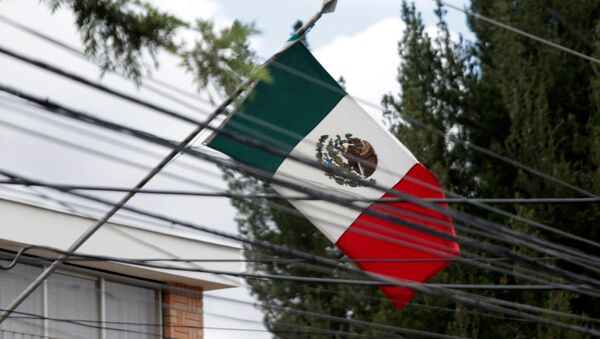 The Mexican flag is seen at its embassy in La Paz, Bolivia 26 December 2019 - Sputnik International