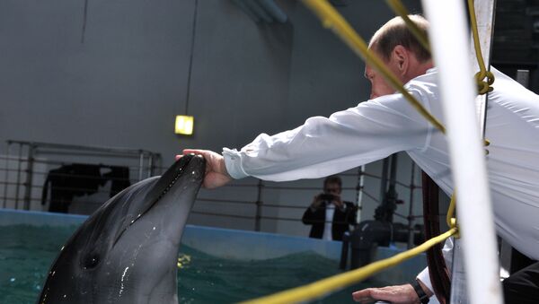 Putin interacting with a dolphin. File photo. - Sputnik International