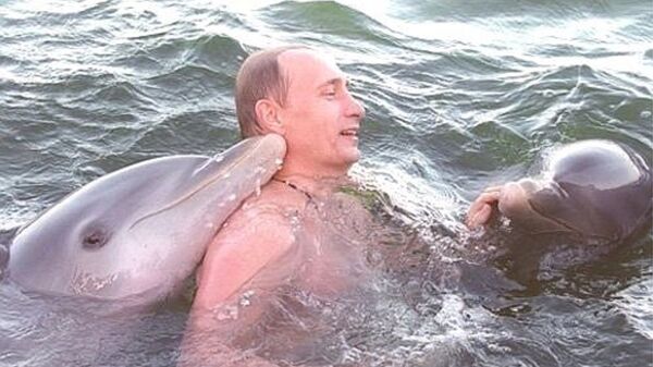Putin swimming with dolphins. 2000. - Sputnik International