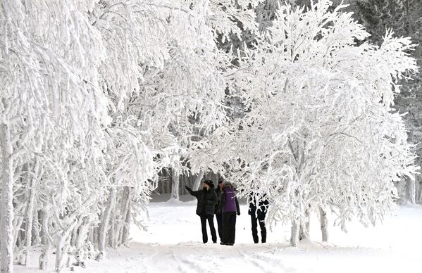Russian Frost and Snowy Fairy Tales on the Yenisei River in Siberia - Sputnik International