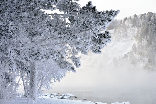 Russian Frost and Snowy Fairy Tales on the Yenisei River in Siberia - Sputnik International