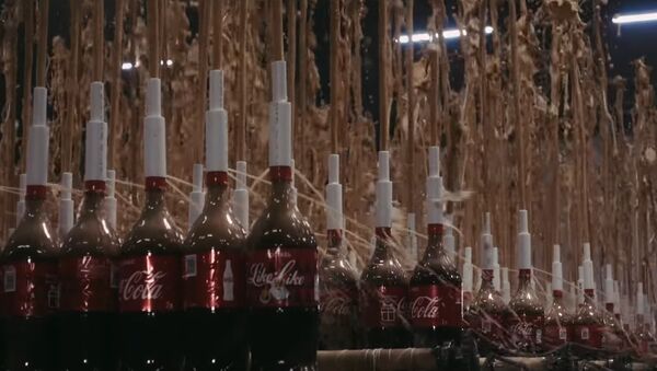 1000 FOUNTAIN OF COLA AND MENTHOS AT THE SAME TIME - Sputnik International
