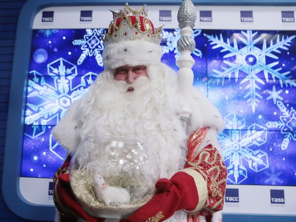 Father Frost, who came from the town of Veliky Ustyug, holds a vase with a white rat in it, a symbol of the year 2020. - Sputnik International