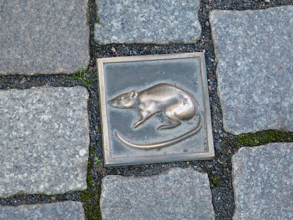 An image of a rat on the pavement - dedicated to the legend about a rat-catcher of Hamelin - Sputnik International
