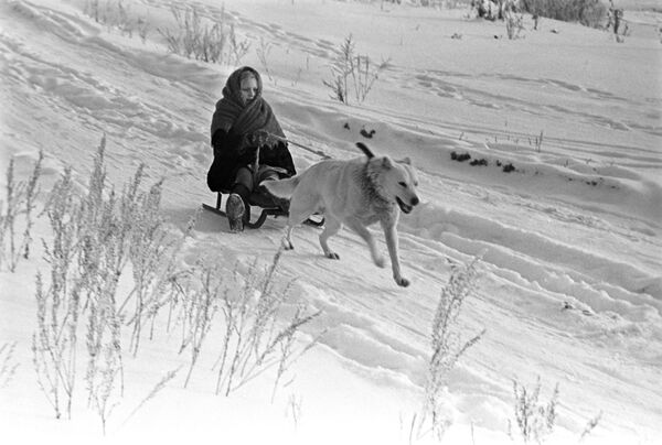 A girl enjoys a dog sleigh ride during winter holidays at her granny's place in Podolsk outside Moscow in 1971 - Sputnik International