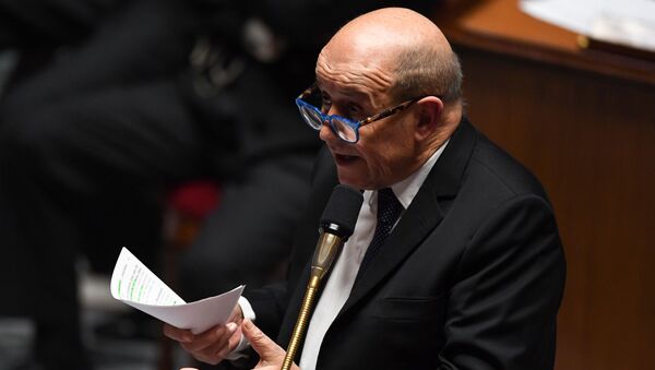 French Foreign Affairs Minister Jean-Yves Le Drian at the National Assembly (Assemblee Nationale) in Paris - Sputnik International