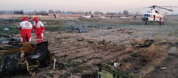The crash of Ukraine's Boeing 737 in Iran - Sputnik International