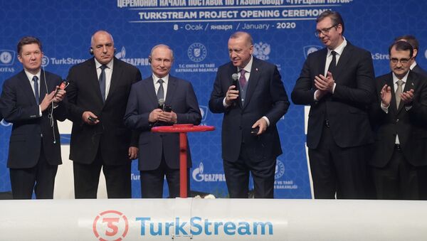  Russian President Vladimir Putin Speaking at the launching ceremony of TurkStream pipeline - Sputnik International