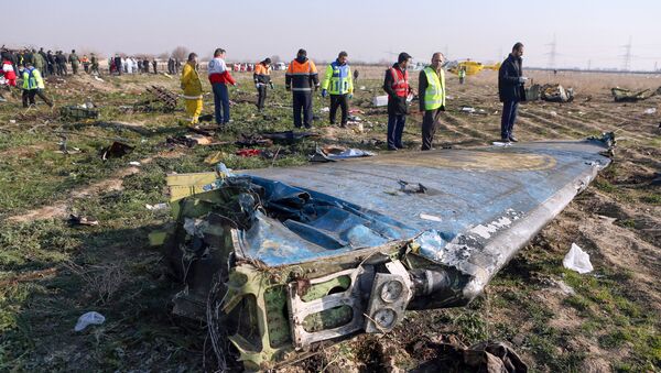 Rescue teams are seen on January 8, 2020 at the scene of a Ukrainian airliner that crashed shortly after take-off near Imam Khomeini airport in the Iranian capital Tehran - Sputnik International