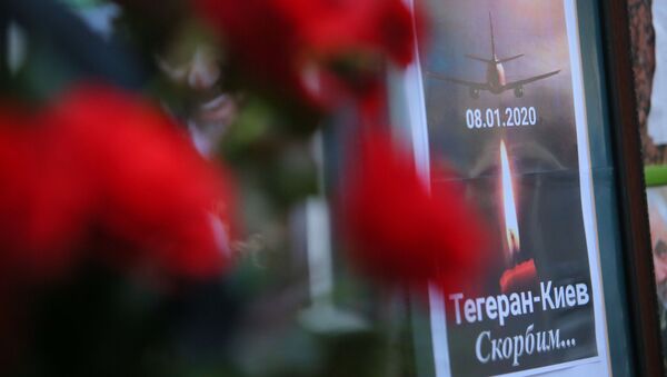 A memorial poster showing Ukrainian Boeing 737-800 plane that crashed outside Tehran, Iran - Sputnik International