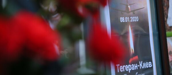 A memorial poster showing Ukrainian Boeing 737-800 plane that crashed outside Tehran, Iran, is seen outside the Iranian Embassy in Kyiv, Ukraine A memorial poster showing Ukrainian Boeing 737-800 plane that crashed outside Tehran, Iran, is seen outside the Iranian Embassy in Kyiv, Ukraine - Sputnik International