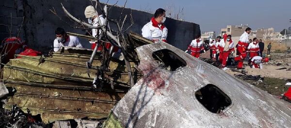 Iranian Red Crescent Society Iranian Red Crescent Society - Sputnik International