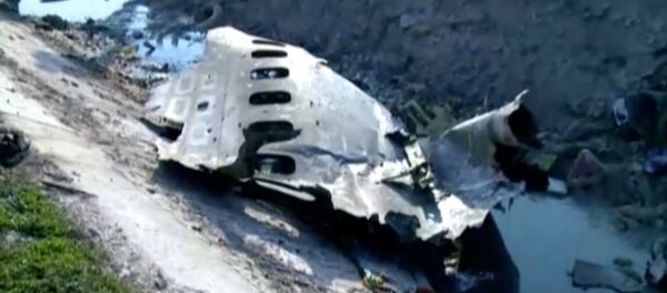 Part of the wreckage from Ukraine International Airlines flight PS752, a Boeing 737-800 plane that crashed after taking off from Tehran's Imam Khomeini airport on January 8, 2020 - Sputnik International