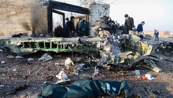 People Stand Near the Wreckage After a Ukrainian Plane - Sputnik International