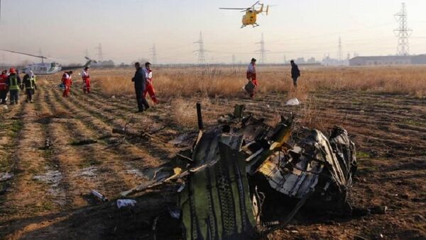 Iran Ukraine Plane Crash - Sputnik International