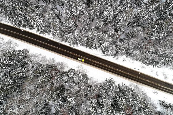 A car passes through a forest in the Troitsk administrative district of Moscow - Sputnik International