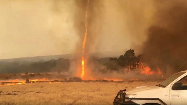 Fiery Twisters Ravage Australia’s Kangaroo Island - Sputnik International