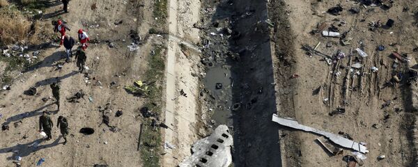 Rescue workers search the scene where a Ukrainian plane crashed in Shahedshahr, southwest of the capital Tehran, Iran Rescue workers search the scene where a Ukrainian plane crashed in Shahedshahr, southwest of the capital Tehran, Iran - Sputnik International