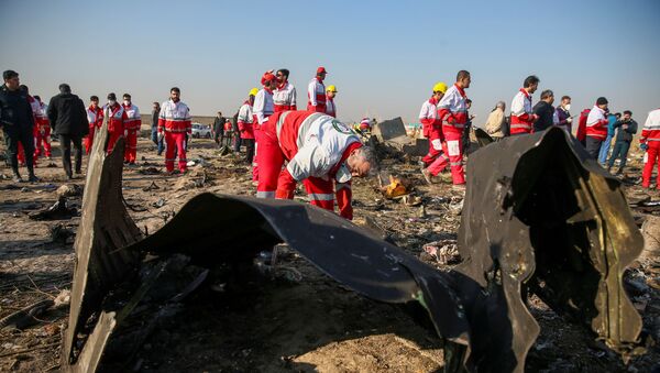 FILE PHOTO: Red Crescent workers check the debris from the Ukraine International Airlines plane, that crashed after take-off from Iran's Imam Khomeini airport, on the outskirts of Tehran, Iran January 8, 2020. Nazanin Tabatabaee/WANA (West Asia News Agency)/File Photo - Sputnik International