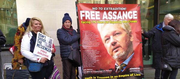 Demonstrators stand outside Westminster Magistrates Court with banners displaying their support for Assange Demonstrators stand outside Westminster Magistrates Court with banners displaying their support for Assange - Sputnik International