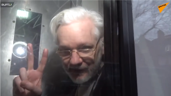 Julian Assange outside a London court, January 13, 2020. - Sputnik International