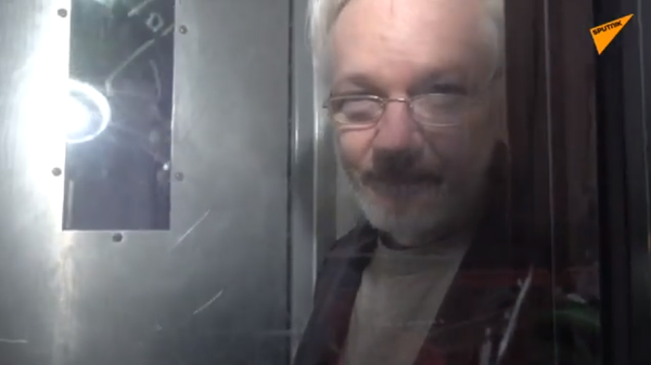 Julian Assange in a prison van outside a London court, January 13, 2020. - Sputnik International