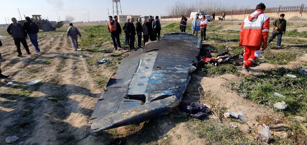 Zarif Says Iran Jailed Person Who Downed Ukrainian Passenger Plane Over Tehran Zarif Says Iran Jailed Person Who Downed Ukrainian Passenger Plane Over Tehran - Sputnik International