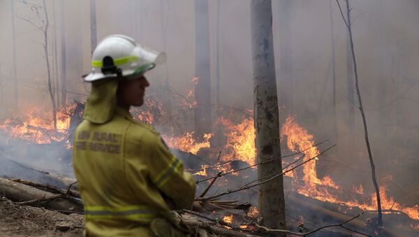 A firefighter keeps an eye on a controlled fire as they work at building a containment line at a wildfire near Bodalla, Australia, Sunday, Jan. 12, 2020 - Sputnik International