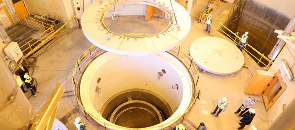 FILE PHOTO: A view of the water nuclear reactor at Arak, Iran December 23, 2019 FILE PHOTO: A view of the water nuclear reactor at Arak, Iran December 23, 2019 - Sputnik International