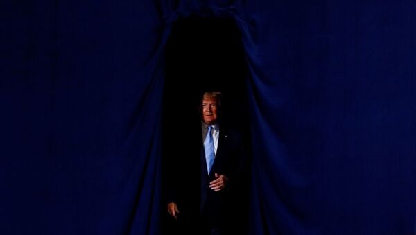 U.S. President Trump walks towards the podium - Sputnik International