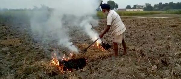 This Oct. 14, 2019 frame from video shows a farmer burning paddy stubble in a field in Amritsar, India, Wednesday, Oct. 16, 2019 This Oct. 14, 2019 frame from video shows a farmer burning paddy stubble in a field in Amritsar, India, Wednesday, Oct. 16, 2019 - Sputnik International