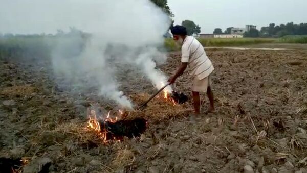 This Oct. 14, 2019 frame from video shows a farmer burning paddy stubble in a field in Amritsar, India, Wednesday, Oct. 16, 2019 - Sputnik International