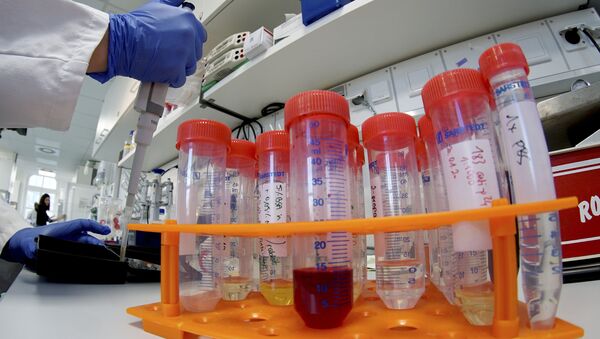 A lab assistant works on samples after an AP interview with Christian Drosten, director of the institute for virology of Berlin's Charite hospital on his researches on the coronavirus in Berlin, Germany, Tuesday, Jan. 21, 2020 - Sputnik International