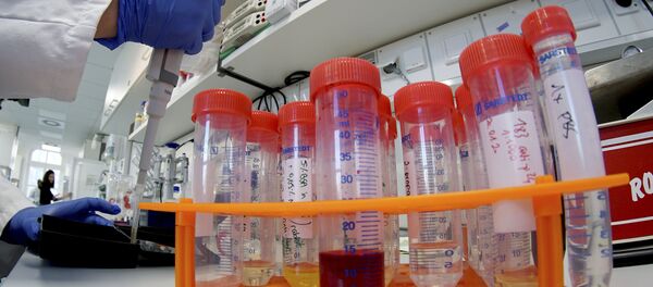 A lab assistant works on samples after an AP interview with Christian Drosten, director of the institute for virology of Berlin's Charite hospital on his researches on the coronavirus in Berlin, Germany, Tuesday, Jan. 21, 2020 A lab assistant works on samples after an AP interview with Christian Drosten, director of the institute for virology of Berlin's Charite hospital on his researches on the coronavirus in Berlin, Germany, Tuesday, Jan. 21, 2020 - Sputnik International