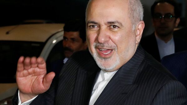 Iranian Foreign Minister Javad Zarif gestures upon his arrival at the airport in New Delhi, India, January 14, 2020 - Sputnik International