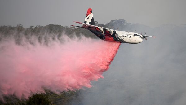 The NSW Rural Fire Service Large Air Tanker (LAT) drops fire retardant on the Morton Fire burning in bushland close to homes at Penrose in the NSW Southern Highlands, south of Sydney, Australia, January 10, 2020. - Sputnik International