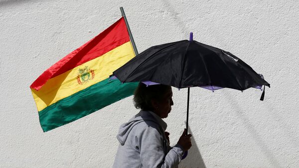 A Woman With a Bolivian Flag  - Sputnik International