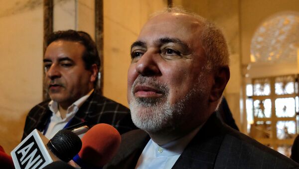 Iran's Foreign Minister Javad Zarif speaks with the media on the sidelines of a security conference in New Delhi, India - Sputnik International