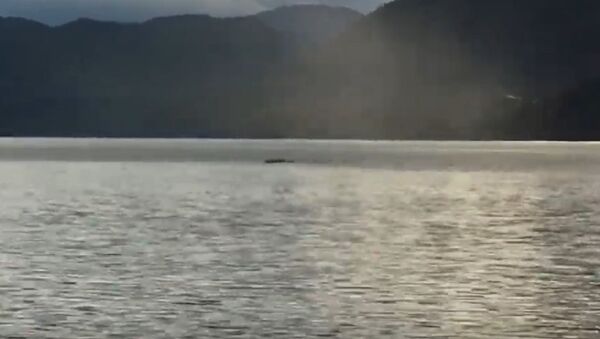 Ogopogo lake monster reportedly spotted in Canada's British Columbia - Sputnik International