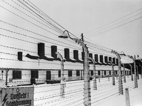 Rescued From Hell: 75th Anniversary of Auschwitz Liberation by Soviet Army - Sputnik International