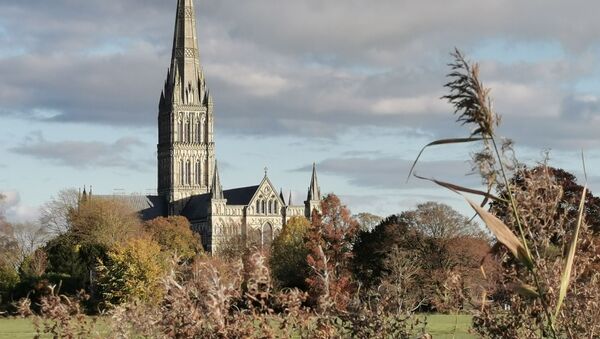 A view of Salisbury Cathedral - Sputnik International